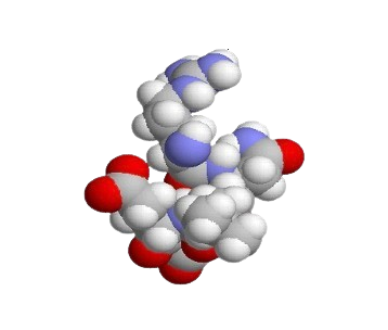 Protai Molecule
